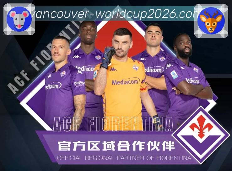 世界杯赛事专题分析